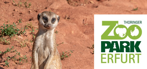 Zoopark in Erfurt